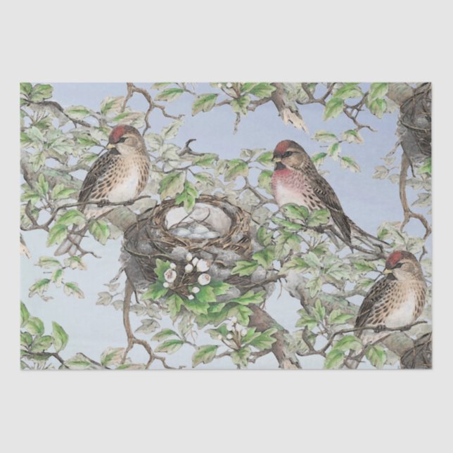 Bird on Nest Blue Sky Trees Leaves Decoupage Craft Tissue Paper (Front)