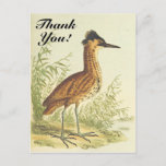 [ Thumbnail: Bird On The Ground, Vintage Style, "Thank You!" Postcard ]