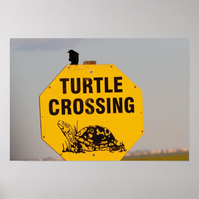 Bird on Turtle Crossing Sign Poster (Front)
