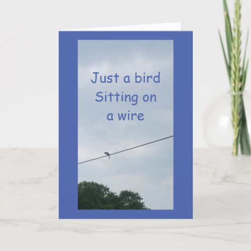 BIRD ON WIRE SAYS HAPPY BIRTHDAY CARD