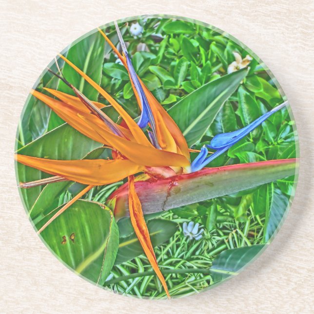 Bird Paradise Hawaii coasters (Front)