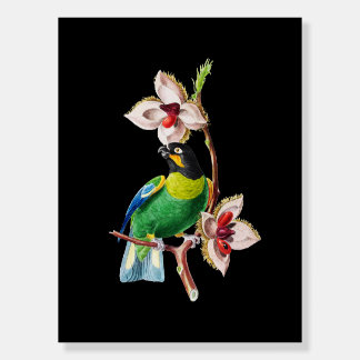Bird Parrot Vintage Art Foam Board