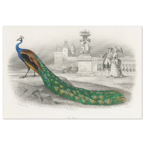 Bird Peacock Ephemera Decoupage French Tissue Paper