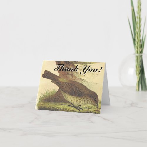 Bird Pecking At The Ground Thank You Card