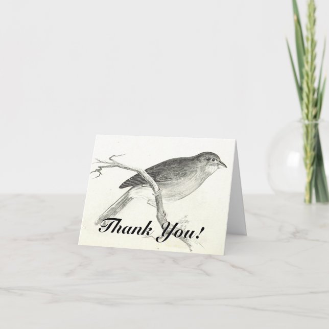 Bird Perched on a Branch, "Thank You!" Card (Front)