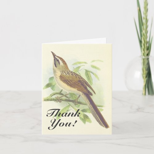 Bird Perched on a Branch Thank You Card
