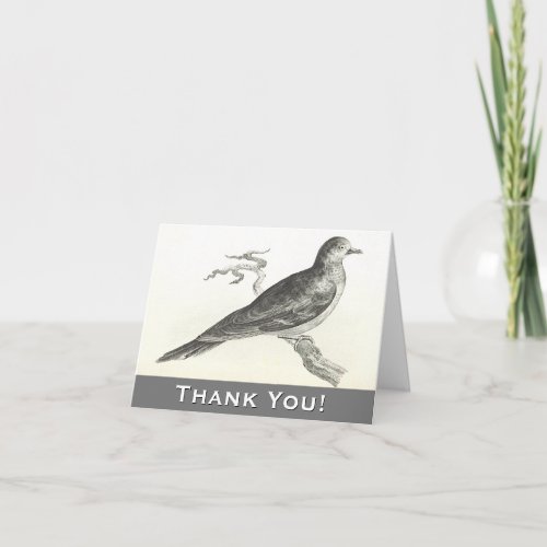 Bird Perched on a Branch Thank You Greeting Card
