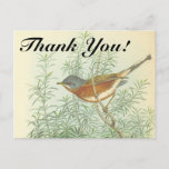 [ Thumbnail: Bird Perched On a Branch "Thank You!" Postcard ]
