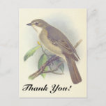 [ Thumbnail: Bird Perched On a Tree Branch, "Thank You!" Postcard ]