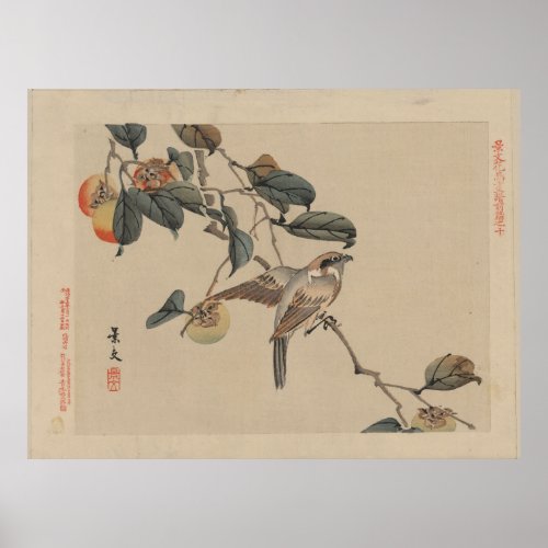 Bird Perched on Persimmon Tree _ Japanese Vintage Poster