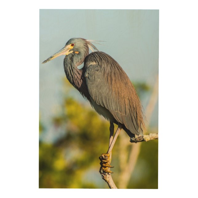 Bird Perfect 24 x 36 Wood Wall Art (Front)