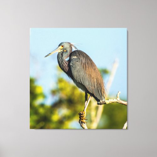 Bird Perfect 3570 x 37 Stretched Canvas Print