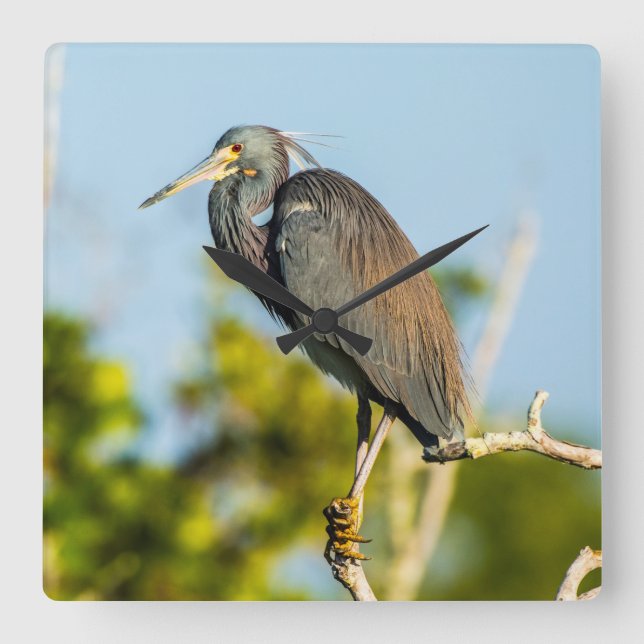 Bird Perfect Acrylic Wall Clock (Front)