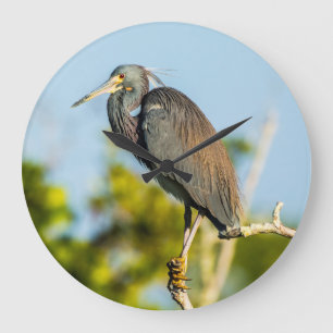 Bird Perfect Acrylic Wall Clock, Round (Large) Large Clock