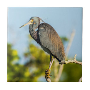 Bird Perfect Ceramic Tile Art