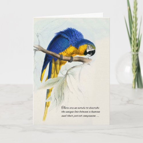 Bird Pet Sympathy Blue and Gold Macaw Parrot Card