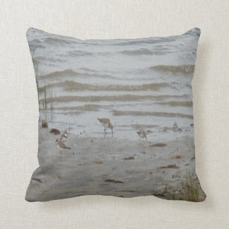 bird photo #19- piping plover and killdeer throw pillow