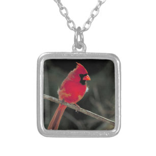 Bird Locket Necklace Jewelry Cardinal Cardinal Photo Jewelry Red Cardinal Locket Pendant Locket Necklace Jewelry Photo Gift,QK034