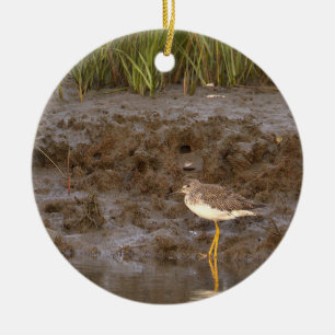 Bird Photo Ornament