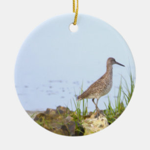 Bird Photo Ornament