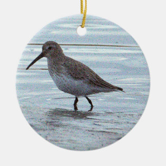 Bird Photo Ornament 