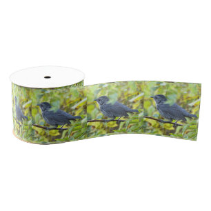 Bird Photo Ribbon