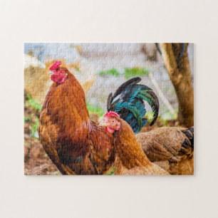 Bird Photograph Best Wildlife Photos Jigsaw Puzzle