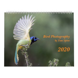 Bird Photography by Tom Spine, 2020 Calendar