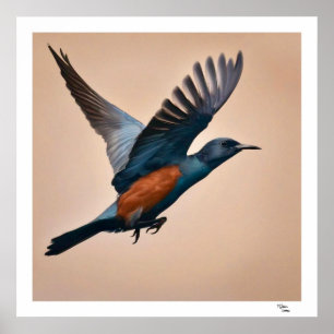 Bird Poster