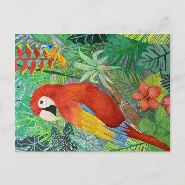 Bird Print Postcard (Front)