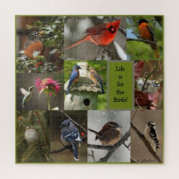 Bird Puzzle by Considernature at Zazzle