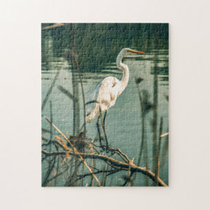 Bird Puzzles Bird Photograph Best Wildlife Photos
