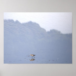 Bird Reflection Poster
