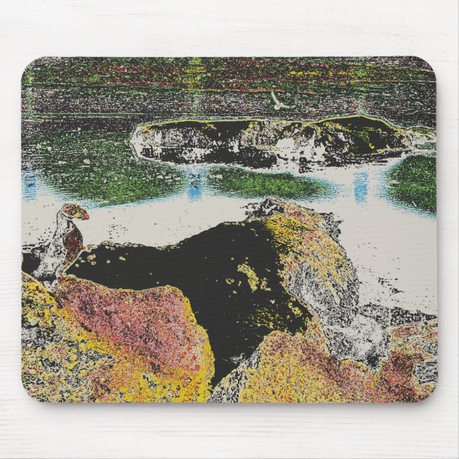 bird rocks mouse pad (Front)