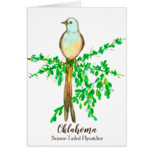 Bird Scissor Tailed Flycatcher Mistletoe Blank Cards