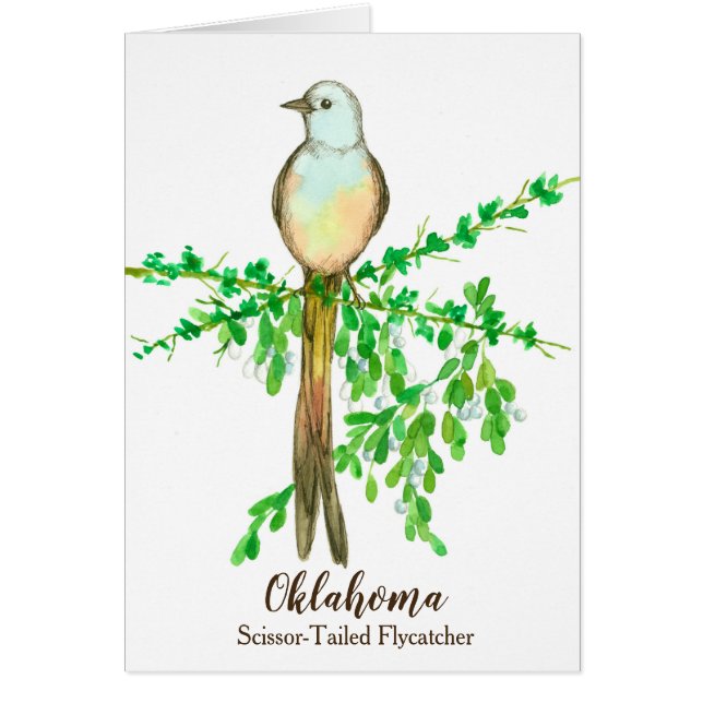 Bird Scissor Tailed Flycatcher Mistletoe Blank Cards (Front)