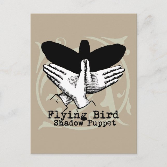 Bird Shadow Puppet Hand Vintage Postcard (Front)