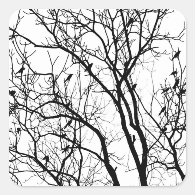 Bird Silhouette by Therese Kramer   Square Sticker (Front)