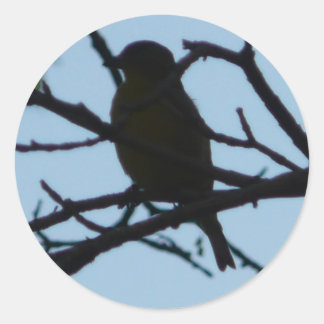 bird,silhouette classic round sticker