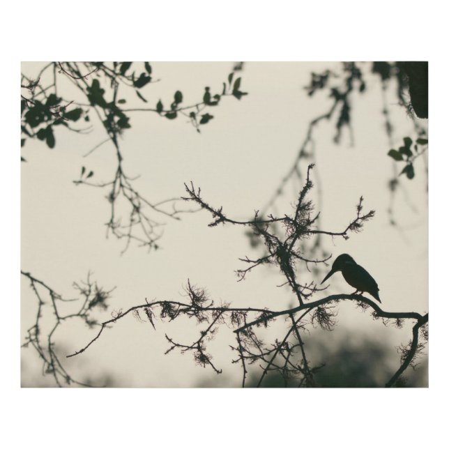 Bird Silhouette Faux Canvas Print (Front)