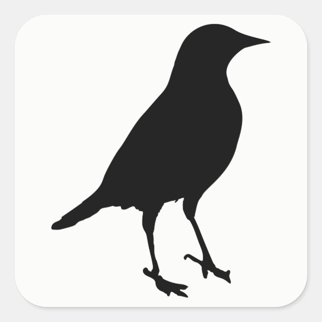 Bird Silhouette Square Sticker (Front)