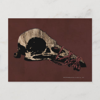 Bird Skull Postcard