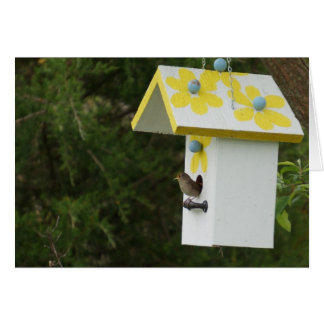 Bird Song Cards