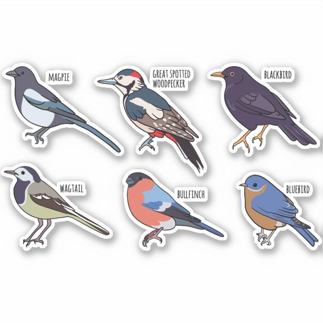 BIRD SPECIES SET STICKER (Front)