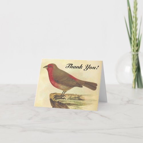 Bird Standing on a Ledge Thank You Card