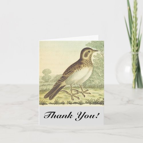 Bird Standing on the Ground Thank You Card