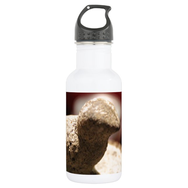 Bird Stone Stainless Steel Water Bottle (Front)