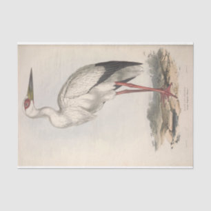 Bird Stork Ephemera Decoupage Tissue Paper