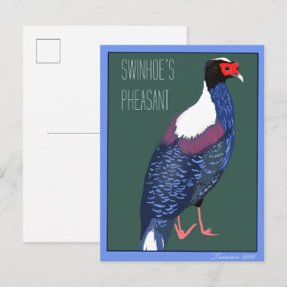 Bird -- Swinhoe's Pheasant Postcard