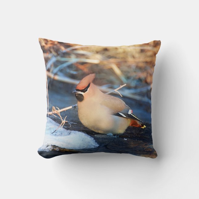 Bird Throw Pillow (Front)
